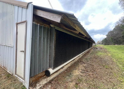 Louisiana 4 House Poultry Farm with 21 Acres and Residence - image 18