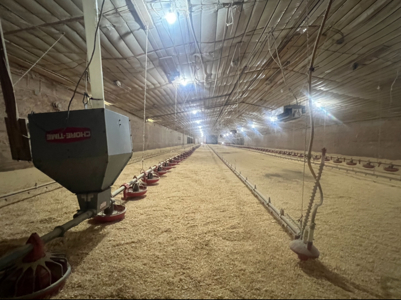 Louisiana 4 House Poultry Farm with 21 Acres and Residence - image 38