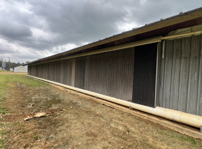 Louisiana 4 House Poultry Farm with 21 Acres and Residence - image 19