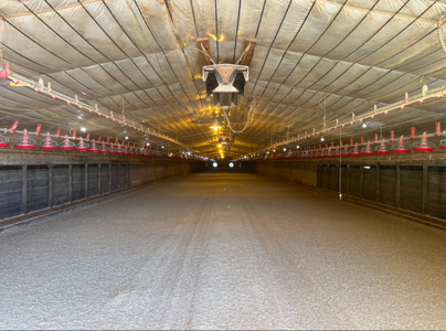 Louisiana 4 House Poultry Farm with 21 Acres and Residence - image 33