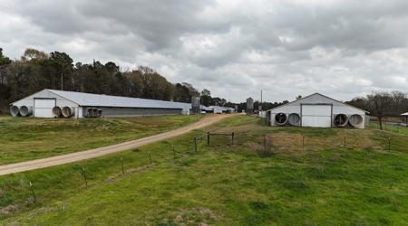 Louisiana 4 House Poultry Farm with 21 Acres and Residence - image 4