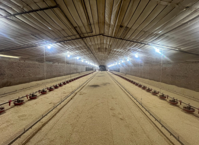 Louisiana 4 House Poultry Farm with 21 Acres and Residence - image 41