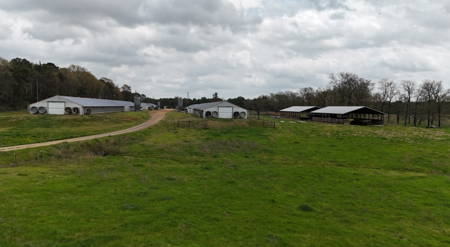 Louisiana 4 House Poultry Farm with 21 Acres and Residence - image 8