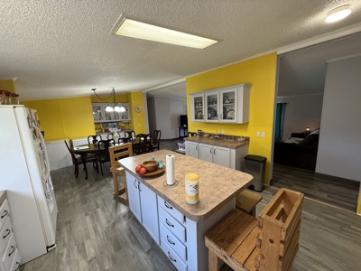Country Home 4 Bed 2 Bath For Sale In Loretto Tn - image 21