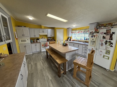 Country Home 4 Bed 2 Bath For Sale In Loretto Tn - image 20