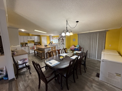 Country Home 4 Bed 2 Bath For Sale In Loretto Tn - image 19