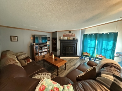Country Home 4 Bed 2 Bath For Sale In Loretto Tn - image 4