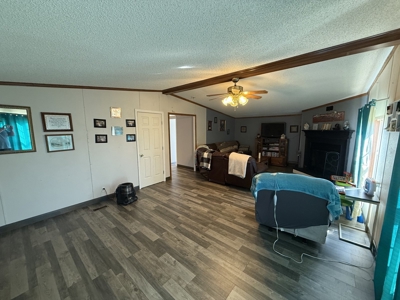Country Home 4 Bed 2 Bath For Sale In Loretto Tn - image 6