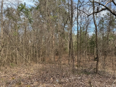 16.55-Acre Wooded Land Tract For Sale in Douglassville, Texas - image 12