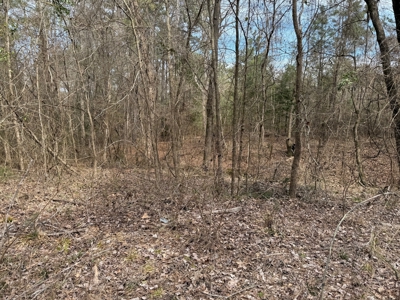 16.55-Acre Wooded Land Tract For Sale in Douglassville, Texas - image 16