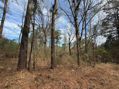 16.55-Acre Wooded Land Tract For Sale in Douglassville, Texas - image 14
