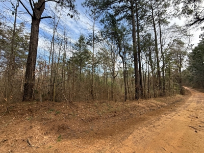 16.55-Acre Wooded Land Tract For Sale in Douglassville, Texas - image 9