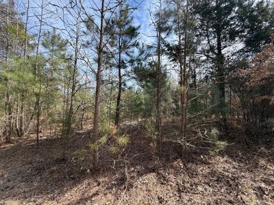 16.55-Acre Wooded Land Tract For Sale in Douglassville, Texas - image 4