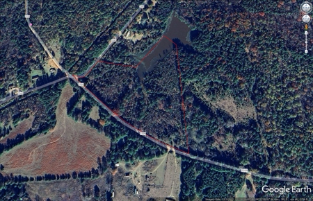 16.55-Acre Wooded Land Tract For Sale in Douglassville, Texas - image 17