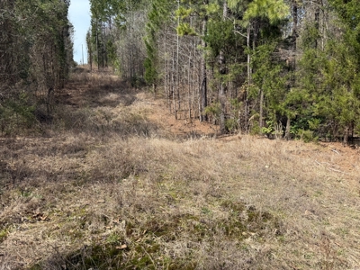 16.55-Acre Wooded Land Tract For Sale in Douglassville, Texas - image 5