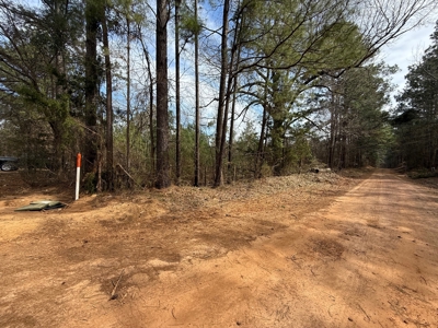 16.55-Acre Wooded Land Tract For Sale in Douglassville, Texas - image 11