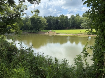Waterfront land For Sale with access to Tennessee River - image 26