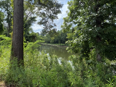 Waterfront land For Sale with access to Tennessee River - image 28