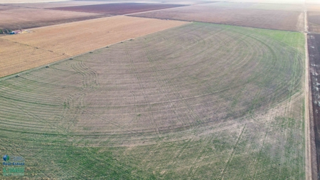 Multi-Tract IrrigatedFarm with Improvements, Bailey County, Texas - image 42