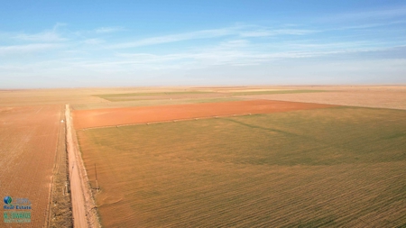 Multi-Tract IrrigatedFarm with Improvements, Bailey County, Texas - image 32