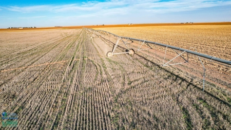 Multi-Tract IrrigatedFarm with Improvements, Bailey County, Texas - image 44
