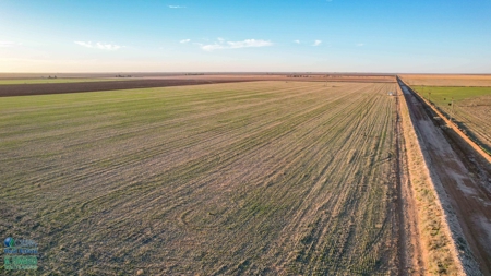 Multi-Tract IrrigatedFarm with Improvements, Bailey County, Texas - image 10