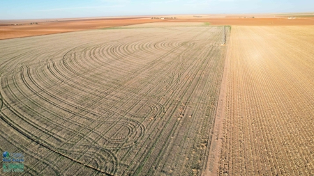 Multi-Tract IrrigatedFarm with Improvements, Bailey County, Texas - image 43
