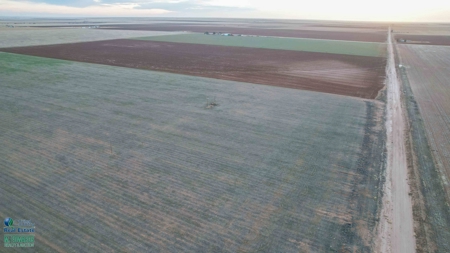 Multi-Tract IrrigatedFarm with Improvements, Bailey County, Texas - image 36