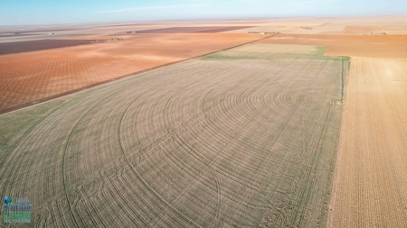 Multi-Tract IrrigatedFarm with Improvements, Bailey County, Texas - image 47
