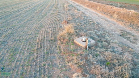 Multi-Tract IrrigatedFarm with Improvements, Bailey County, Texas - image 41