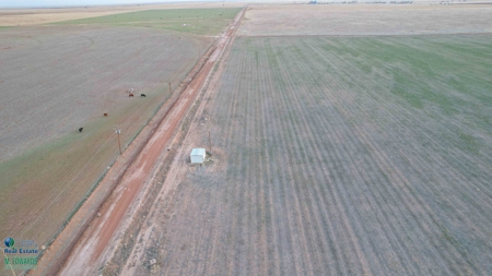 Multi-Tract IrrigatedFarm with Improvements, Bailey County, Texas - image 38