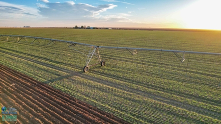 Multi-Tract IrrigatedFarm with Improvements, Bailey County, Texas - image 7