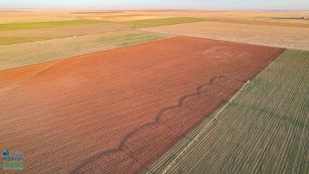 Multi-Tract IrrigatedFarm with Improvements, Bailey County, Texas - image 3