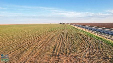 Multi-Tract IrrigatedFarm with Improvements, Bailey County, Texas - image 33