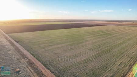 Multi-Tract IrrigatedFarm with Improvements, Bailey County, Texas - image 11