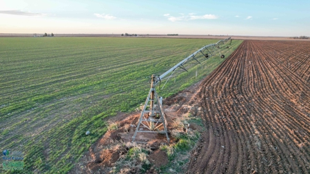 Multi-Tract IrrigatedFarm with Improvements, Bailey County, Texas - image 6