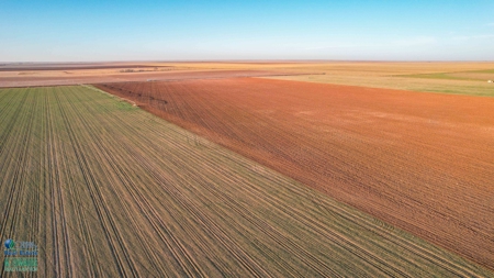 Multi-Tract IrrigatedFarm with Improvements, Bailey County, Texas - image 2