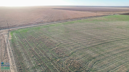 Multi-Tract IrrigatedFarm with Improvements, Bailey County, Texas - image 46