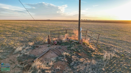 Multi-Tract IrrigatedFarm with Improvements, Bailey County, Texas - image 17