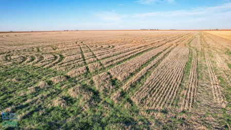Multi-Tract IrrigatedFarm with Improvements, Bailey County, Texas - image 45