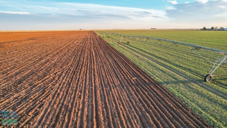 Multi-Tract IrrigatedFarm with Improvements, Bailey County, Texas - image 5