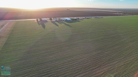Multi-Tract IrrigatedFarm with Improvements, Bailey County, Texas - image 13