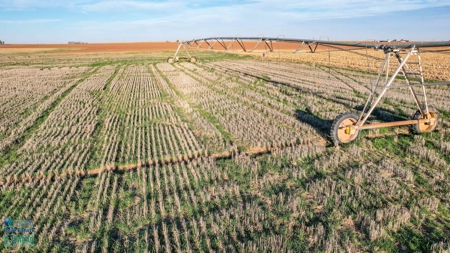 Multi-Tract IrrigatedFarm with Improvements, Bailey County, Texas - image 48
