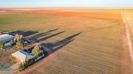 Multi-Tract IrrigatedFarm with Improvements, Bailey County, Texas - image 1