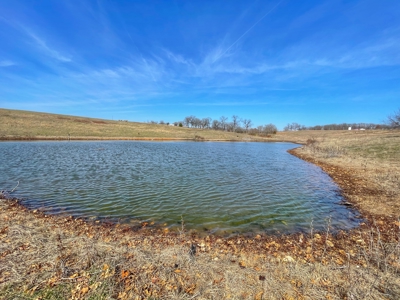 20 acres near Stockton Lake with a stocked pond! - image 1