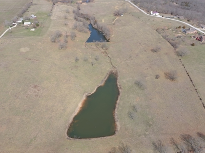 20 acres near Stockton Lake with a stocked pond! - image 2