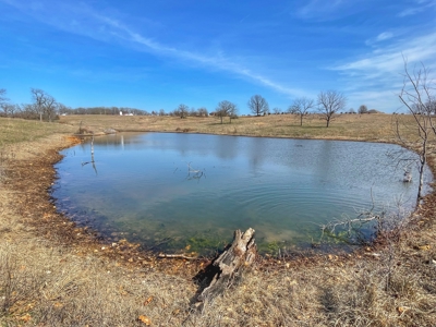 20 acres near Stockton Lake with a stocked pond! - image 3