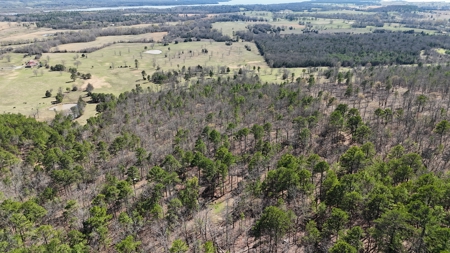 Lakeview Property For Sale - Sardis Lake Yanush, OK. - image 1