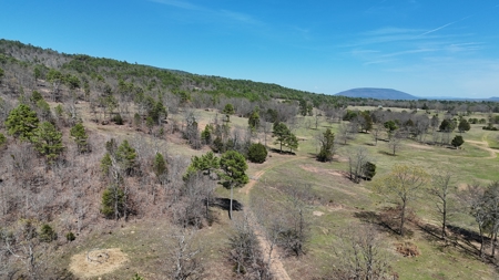 Lakeview Property For Sale - Sardis Lake Yanush, OK. - image 2