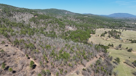Lakeview Property For Sale - Sardis Lake Yanush, OK. - image 4